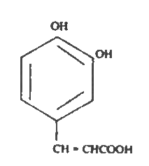 Diagram for option D