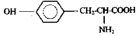 Diagram for option B