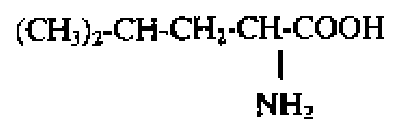 Diagram for option C