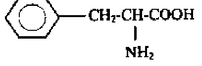 Diagram for option D
